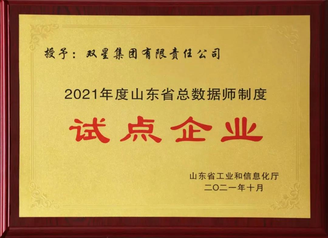 试点企业 试点企业