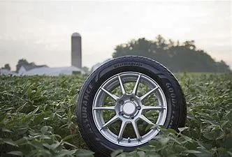 1656148495104283.jpg 58.jpg