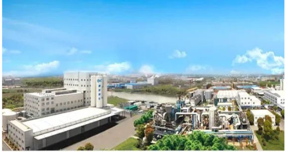 确成股份上半年净利润增超4成 确成股份上半年净利润增超4成